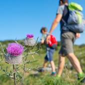 Heun Chiropractic, Inc. 